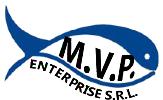 MVP Enterprise