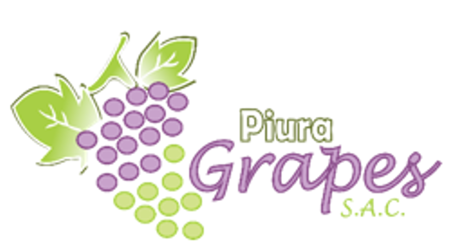 Piura Grapes